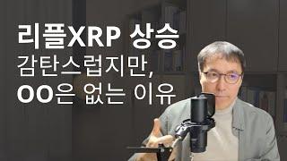 리플은 선두주자의 딜레마를 극복할 수 있을까? 기업형 블록체인 리플xrp와 비트모빅의 전략 차이 비교