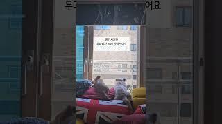 무엇이 그리 재미있을꼬?