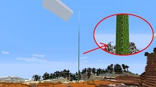 secret minecraft seed with the biggest cactus