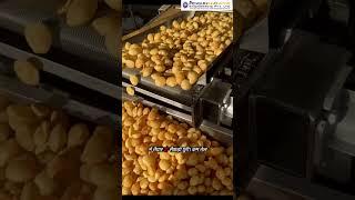 Panipuri Fryer Machine | Panipuri Fryer | Panipuri Bullet fryer Machine
