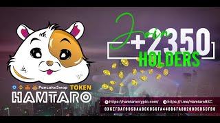 What is the real story of HamtaroBSC — HamtaroCrypto?