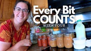 Another Week's Worth of Homestead Food Preservation! | Every Bit Counts Finale