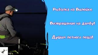 Рыбалка на фидер летом. Снова РАЗДАЧА! Лещ клюет от заката и до рассвета!