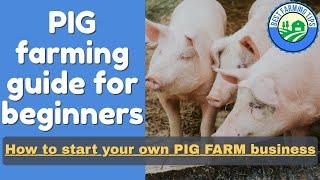 PIG FARMING guide for beginners: How to start your own PIG farm business