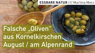 Köstliche falsche "Oliven" aus wilden Kornelkirschen // Täuschend echte Appetizer aus Wildfrüchten