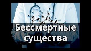 Всего 5 Минут и Тело Начнет Себя Лечить | Исцеляющая Матрица