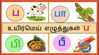 ப வரிசை சொற்கள் | Pa Paa Varisai Sorkal | ப,பா,பி,பீ,பு வரிசை சொற்கள் | pa varisai sorkal in tamil