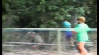 Big bird attacks person - cassowary (not a pretty sight)