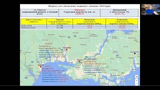 Одесса первичный рынок недвижимости, июль 2024.Погода рынка недвижимости, с Андреем Гусельниковым