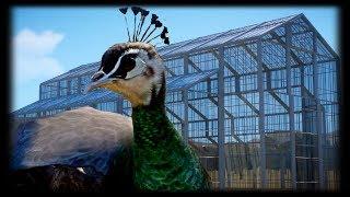 Large Greenhouse Speed build w/ Indian Peafowl Habitat | Planet Zoo Beta