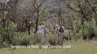 Cortometraje Documental Internacional