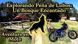 Explorando Peña de Lobos : Un Bosque Encantado, Aventura en Moto .