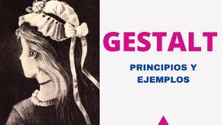 What is Gestalt? Principles and Examples