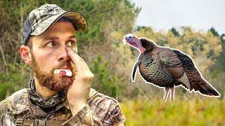 When should I CALL? - (New Hampshire Turkey Hunting)