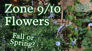 When To Plant Flowers & 6 Varieties Your Garden Should Have | Grow Your Own Bouquet in Zones 9 & 10