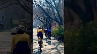 업힐은 뭐다? #부산자전거 #부산라이딩 #자전거 #cycling #bike #bikecycle