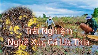 Nghề Xúc Cá Lia Thia, Đức Huệ - Long An