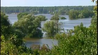 Expeditionen_ins_Tierreich_kompakt_Die_Elbe2.flv