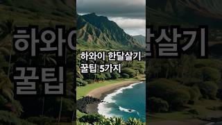 하와이 한달살기 꿀팁 5가지 #하와이 #하와이한달살기 #한달살기 #미국여행 #하와이여행 #해외여행