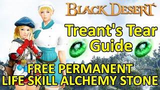 Treant's Tear Guide, Free Permanent Life Skill Alchemy Stone, Get & Re-Fuel it (Black Desert Online)