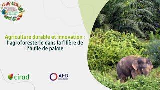 Agriculture durable et innovation : l’agroforesterie dans la filière de l’huile de palme