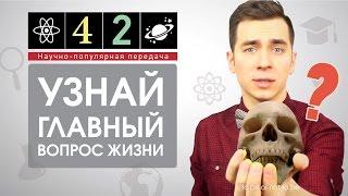 42 - Узнай Главный вопрос жизни!