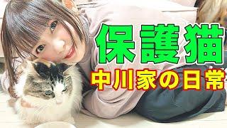 【保護猫】中川家の猫の日常をお届けします！