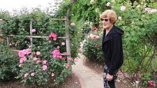 San Diego Rose Society Garden Tour: Sue Streeper