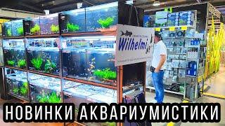 Очень интересная и крутая выставка аквариумистики, которая запомнится надолго! 4К