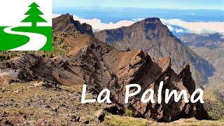 The most beautiful hikes on La Palma