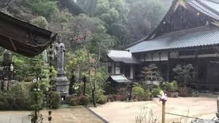 Zen Garden Ambience with Rain Sounds – Japanese Village Temple (Sleep, Relaxation, White Noise)