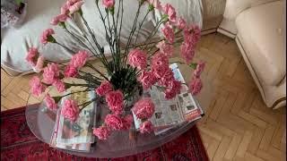 | Roza4u.ru