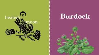 Healer's Moon: Medicinal Magic of Burdock the Fire Stoker {Spell 2}