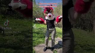 Fursuit Commission for Koji #furry #furries #furrys #furryfandom #fursuit #fursuitmaker #furryart