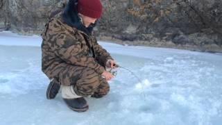 Ice fishing in Mongolia Siberian trout by Frabill(ӨВЛИЙН ЗАГАСЧЛАЛ)