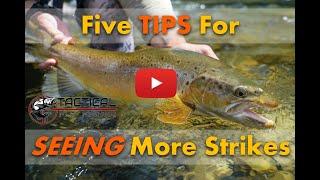 5 tips for SEEING more Euro nymphing strikes