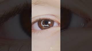 Your eyes never grow#facts