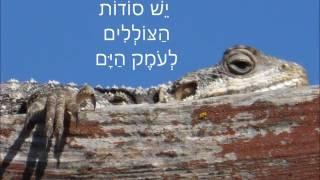 יש שירים ללא  מילים. נחצ'ה היימן - יעקב גרוס