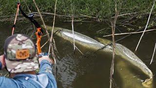 Bowfishing for Giant Gator Gar| We shoot a 7+ foot  RIVER MONSTER!!!