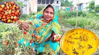 ज़ब भी ये वाली कढ़ी बनाती हुँ सबसे ज्यादा मैं ही खा जाती हुँ | टमाटर पकौड़ा कढ़ी | Kadhi Recipe hindi