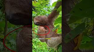 The Most Mind-Blowing Animal Facts