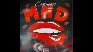 (LYRICS) Ceefineass - Mad (Slash Beat)