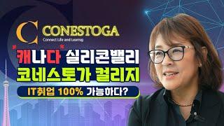 캐나다 IT취업 100%실화? 실리콘밸리 워털루-키치너 유일한 코네스토가 컬리지/컴퓨터사이언스/패키징엔지니어링/보험학과(feat.폴리테크닉선두)