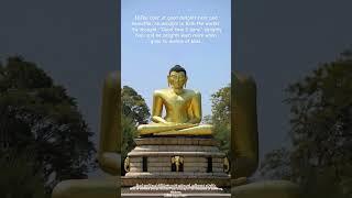 The Dhammapada : The Buddha’s Path of Wisdom #ytshorts #youtubeshorts #motivation #life #live #love