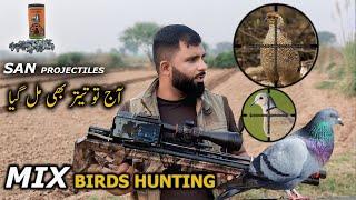 Aaj to teetar bhi Mil gya || Mix Birds hunting with Airgun #airgunhunting