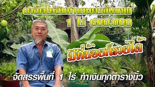 จัดสรรพื้นที่ 1 ไร่ ทำเงินทุกตารางนิ้ว #เกษตรอารมณ์ดี