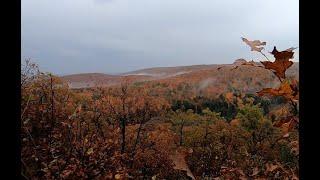 The Wolf Trail & the Importance of Gatineau Park