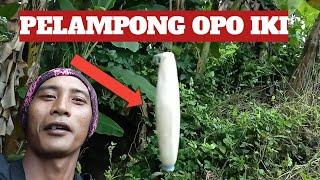 MANCING IKAN WADER PAKAI KAIL JUMBO DAN PELAMPUNG JUMBO,DAPAT YANG JUMBO JUMBO