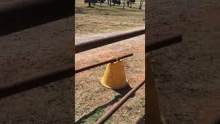 Welding pipe entry way with cattle guard