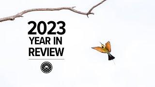 2023 Year In Review | blinsaff